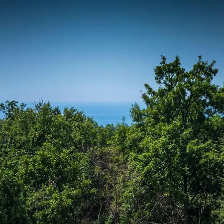 Vallis Aurea بيت للعطل